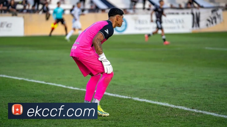 超凡国际品牌故事