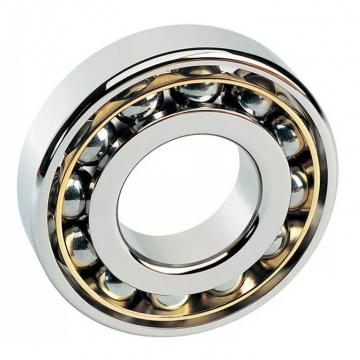 10 mm x 22 mm x 14 mm  INA GAKFL 10 PW Rolamentos simples