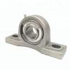 SKF P 35 TF unidades de rolamentos